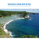 그로토 이미지