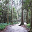 신화캠핑 이미지