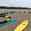 양양중학교 이미지