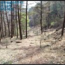 양동초등학교고송분교장 이미지