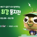 스크린골프VX 이미지