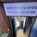 두꺼비로멘스 이미지