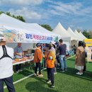 강진흑염소 이미지