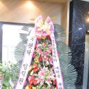 (주)펫닥 이미지