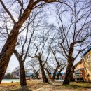 제내리보건진료소 이미지