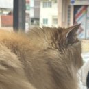 네일룸마리