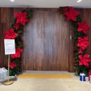 113-운정2-113 | 파주 운정 맛집 동백온실 내돈내산 후기 | 눈썰매장 있는 파주 운정 맛집