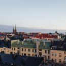 렉스사우나 이미지