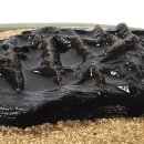 연못들4 이미지