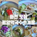 화천 맛집 <평양막국수·초계탕> 물막국수, 초계탕 후기