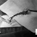 샐리동물병원 이미지