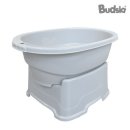 버드시아 이미지