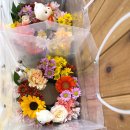 백석초등학교 병설유치원 이미지