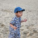 추암농장 | 하이원 워터월드 추암해수욕장 정선여행 2일차