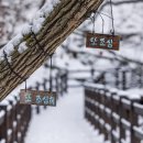 윤선생영어교실 이미지