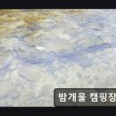 맑은개울 캠핑장 | *화천 캠핑 추천* 밤개울 캠핑장 조용하고 깨끗한 자연 속 휴식 공간