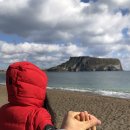 오션공칠일 | 아이와 제주여행 : 제주 동부해안의 자랑 성산일출봉 : 제주스러움이 물씬 풍기는 감귤과 성산일출봉...