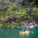 두물머리공원 맞은편 이미지