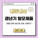 RAPAH hair(라파 헤어) | 갱년기 여성 탈모 예방 샴푸, 앰플, 비오틴 내돈내산 사용 후기