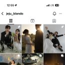 포레스트 랩(FOREST LAB) | W5. 블란도 제주 웨딩스냅 계약[포레스트랩 x 블란도 패키지]