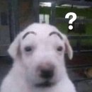 귀족PC | 마비노기 G28 황혼의 잔허 후기