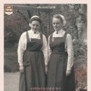 인디봄봄 이미지