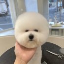 멍개구름 이미지