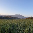 홍남삼거리 네이버블로그