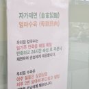 소문난통막걸리식당 | 낙성대 칼국수맛집 혼밥 서울 가성비 식당 소문난 중앙칼국수 돈까스 수육 세트 내돈내산 솔직후기