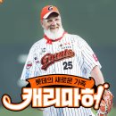 부산 프로야구 홈구장 역사와 문화