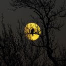 라파즈웨딩