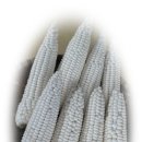 와동농장 이미지