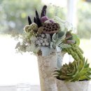 더스티(DUSTY) 이미지