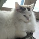 김성광 | 신당동 맛집 진성한우곱창 후기!