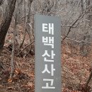 도산매, 태백사고지, 청암정, 만산고택, 소수서원답사- 2016.3.13.일요일에 이미지