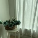 해변 하우스 이미지