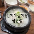 천지유 | [첨단] 광주 삼계탕 추천 천지유삼계탕 첨단점 메뉴 소개 및 내돈내산 후기
