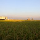 바람새마을 이미지