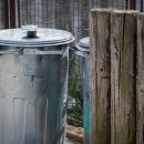 납부필증 이미지