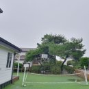 다감 스테이 이미지