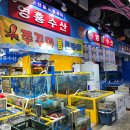 가락시장 맛집 영흥수산 제철 모듬회 포장 후기