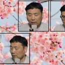 4월14일 화요일, 산유화 이미지