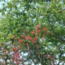 나비공원　 이미지