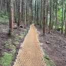 솔오름주차장 이미지