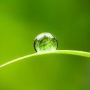 염소자리 이미지