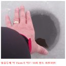 스피드상사 이미지