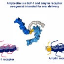 글린티드 이미지