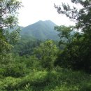 산성목장2 이미지