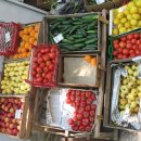 야채나라 이미지