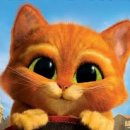 아이원안경 이미지